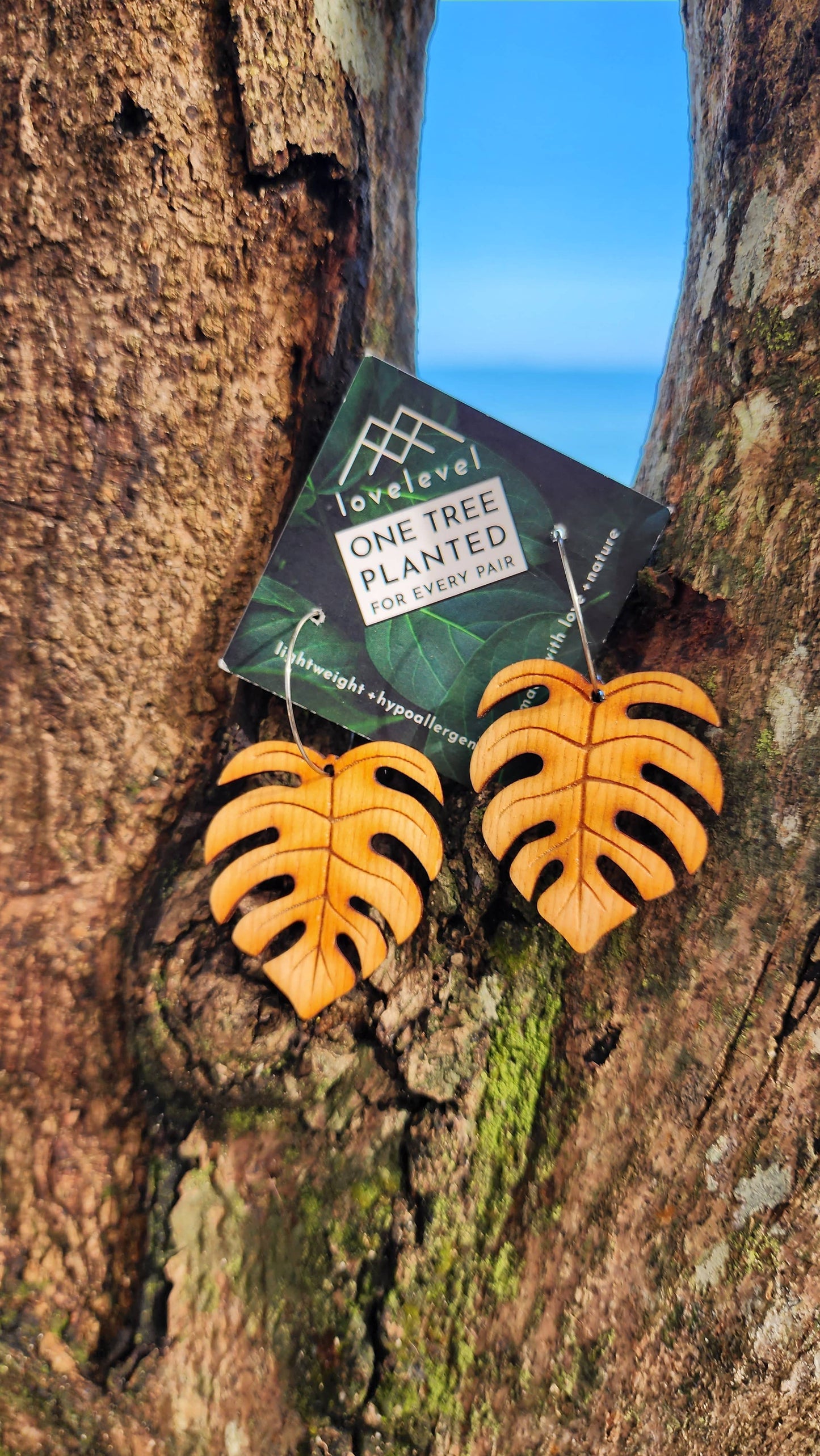 Hawaii Wood Earrings | Monstera