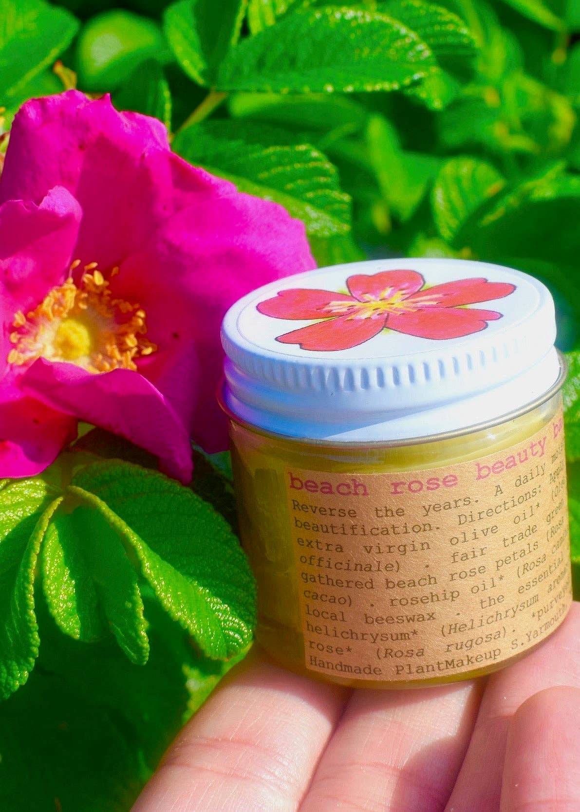 Jar of 'beach rose beauty' cream held in front of a pink flower and green leaves