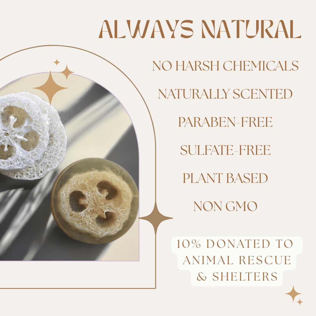 Organic Loofah Soap — Plant-Based Exfoliating Bar | Von Weiting - Khandava